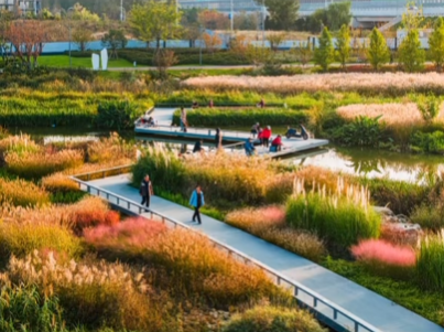 秋光為伴，我們與張村河共繪新景
